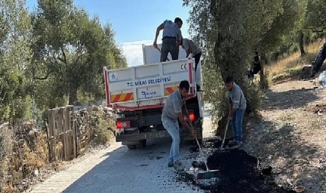 Milas Belediyesi, İlçemiz Mahallelerindeki Hummalı Çalışmalarını Sürdürüyor