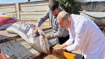 Seyyar selektör makinesi çiftçilerin hizmetinde