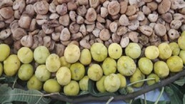 Türk kuru incir ihracatçılarından Avrupa Birliği’ne; “Kuru incirde konut ödevimizi yapıyoruz” iletisi