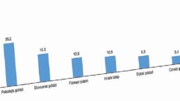 Türkiye Bayana Yönelik Şiddet Araştırması, 2024
