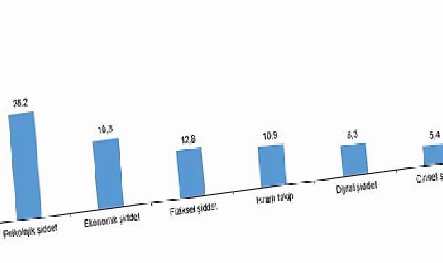 Türkiye Bayana Yönelik Şiddet Araştırması, 2024