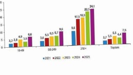 Yapay Zeka İstatistikleri, 2025