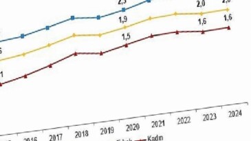 Yükseköğretim Beyin Göçü İstatistikleri, 2024