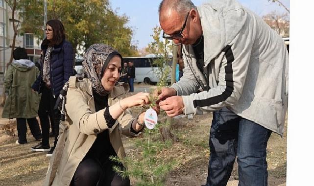 11 Kasım Ağaçlandırma Günü’nde Fidan Dağıtımı ve Fidan Dikimi