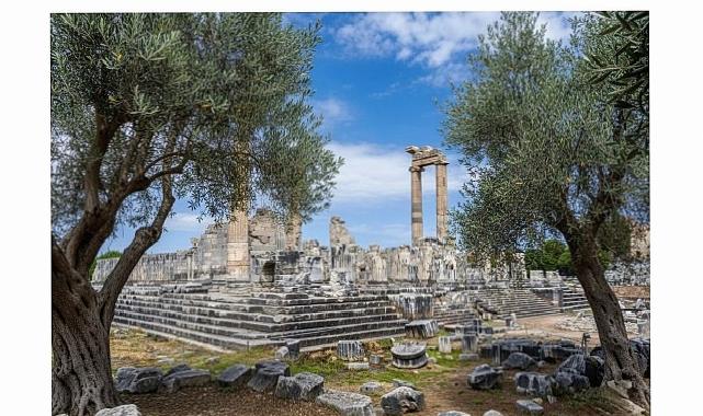 26 Kasım Dünya Zeytin Ağacı Günü’nde Didim Belediyesi’nden Manalı İleti