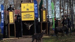 8 kızıl geyik daha Kuzuyayla’da tabiata salındı