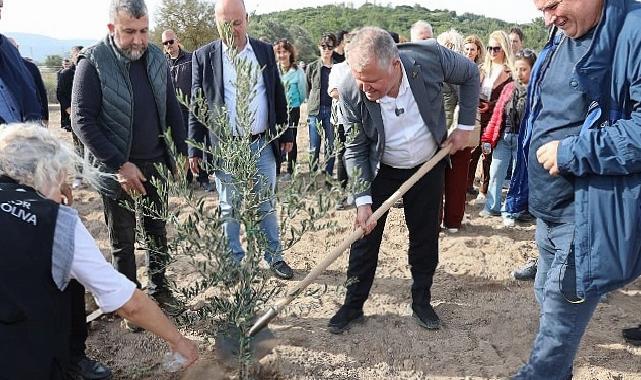 Atatürk’ün Vasiyeti Urla’da Hayata Geçti: Zeytin Koleksiyon Bahçesi’nde Birinci Fidan Dikimi