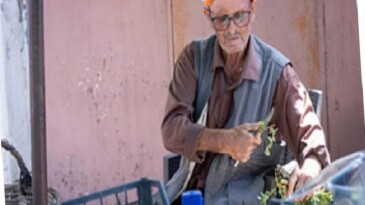 Beydağ incirinin katma bedeli artıyor