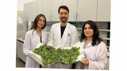 BİLGİ’li öğrenciler antibiyotik direncine karşı yenilikçi ve doğal bir formül geliştirdi