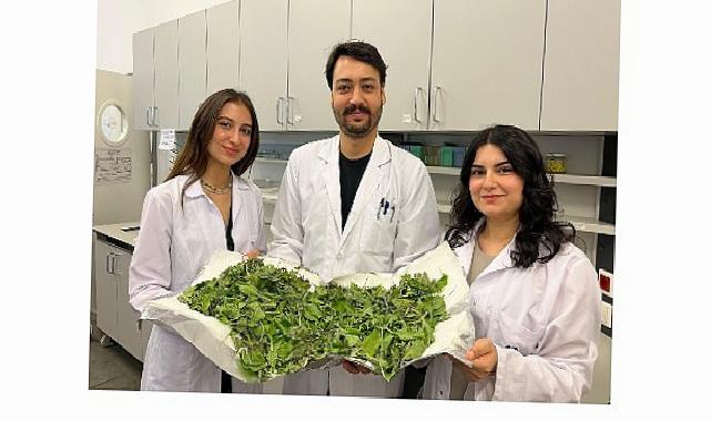 BİLGİ’li öğrenciler antibiyotik direncine karşı yenilikçi ve doğal bir formül geliştirdi