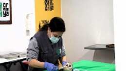 Bu merkez yaban hayvanlarına umut oluyor