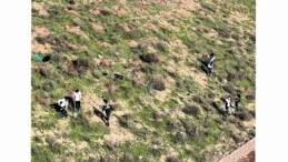 Büyükşehir’in dokunuşlarıyla Kocaeli yeşile doyuyor