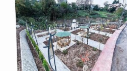 Canik’te Park Seferberliği: Park Alanları 144 Bin Metrekareye Yükseldi