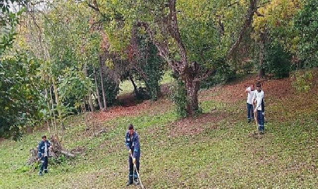 Darıca Millet Bahçesi’nde paklık seferberliği