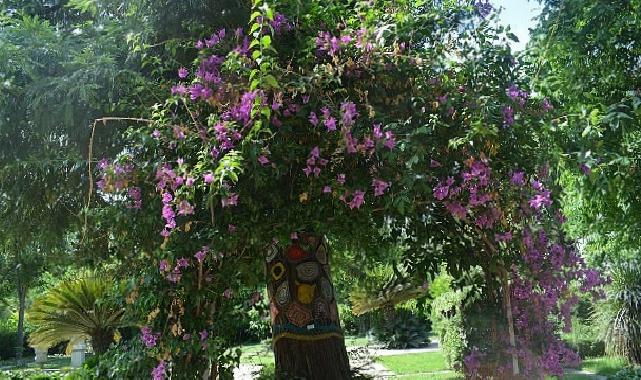 Ege Üniversitesinin endemik cins cenneti: “Botanik Bahçesi