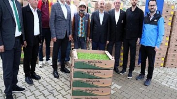 Gebzeli çiftçiye 500 bin zerzevat fidesi