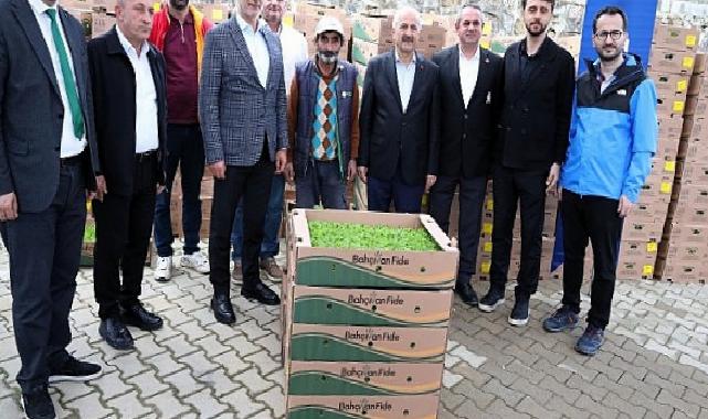 Gebzeli çiftçiye 500 bin zerzevat fidesi