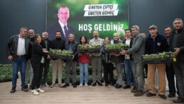 Gömeç Belediyesinden enginar fidanı dağıtım merasimi