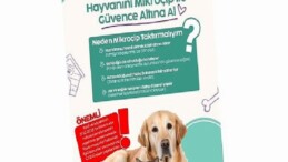 İnegöl Belediyesi’nden Konutunda Kedi-Köpek Besleyenlere Mikroçip Uyarısı