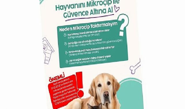 İnegöl Belediyesi’nden Konutunda Kedi-Köpek Besleyenlere Mikroçip Uyarısı
