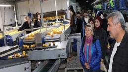 “İşinizi aşkla yapın dürüst olun muvaffakiyet peşinden gelecek”