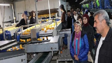 “İşinizi aşkla yapın dürüst olun muvaffakiyet peşinden gelecek”