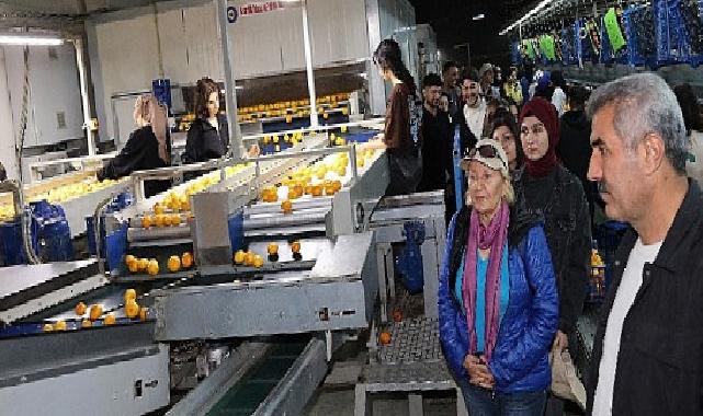 “İşinizi aşkla yapın dürüst olun muvaffakiyet peşinden gelecek”