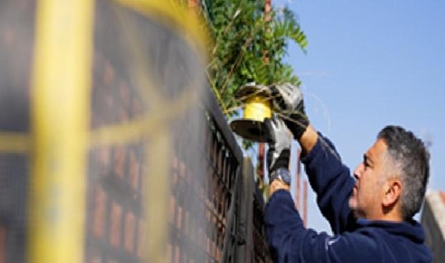 İzmir Büyükşehir Belediyesi’nden karasinekle ağır gayret