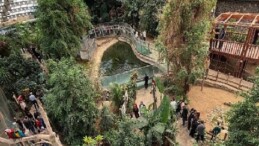 İzmir Doğal Ömür Parkı’na ziyaretçi akını