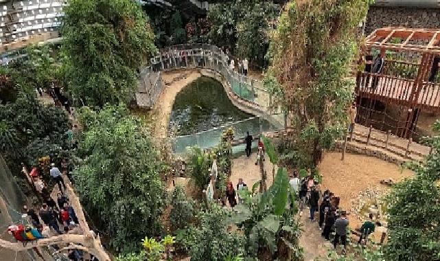 İzmir Doğal Ömür Parkı’na ziyaretçi akını