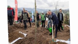 Karamürsel’de yanan bölge 3 bin fidanla yine yeşerecek