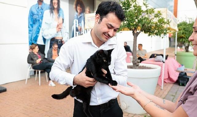 Konak’ta kalpler patili dostlar için attı