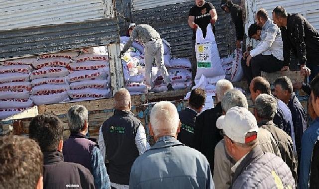 Konya Büyükşehir’den Çiftçiye Kuraklığa Sağlam Mercimek Tohumu Takviyesi