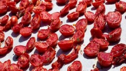 Kuru domates ihracatı 100 milyon doları aştı