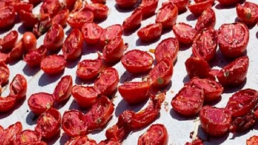 Kuru domates ihracatı 100 milyon doları aştı