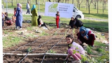 Mahalle bostanlarında kış dikimleri başladı