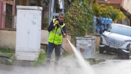 Maltepe’de toplu paklık seferberliği devam ediyor