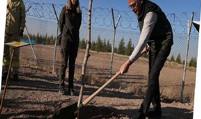 OGM: 30 milyon fidan sahiplenildi