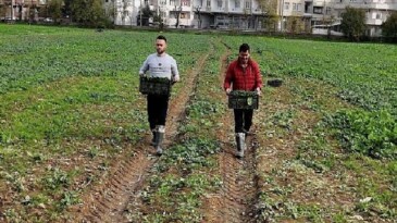 Osmangazi Belediyesi Doğal Üretimle Sofralara Sıhhat Sunuyor