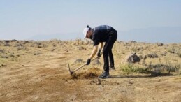 Oyun Dünyasından Tabiata Takviye