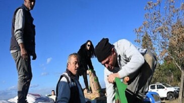 Salihli Belediyesi Buğday Ekimine Başladı