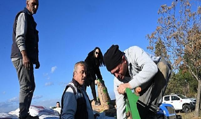 Salihli Belediyesi Buğday Ekimine Başladı