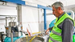 Seferihisar Belediyesi’nden örnek proje; Çocukların topladığı zeytinler sofralara rahmet olacak