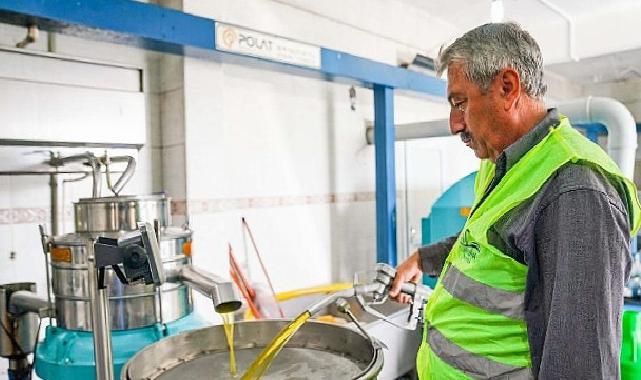 Seferihisar Belediyesi’nden örnek proje; Çocukların topladığı zeytinler sofralara rahmet olacak