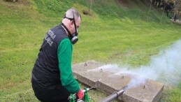 Sinekle gayret sonbaharda da sürat kesmiyor