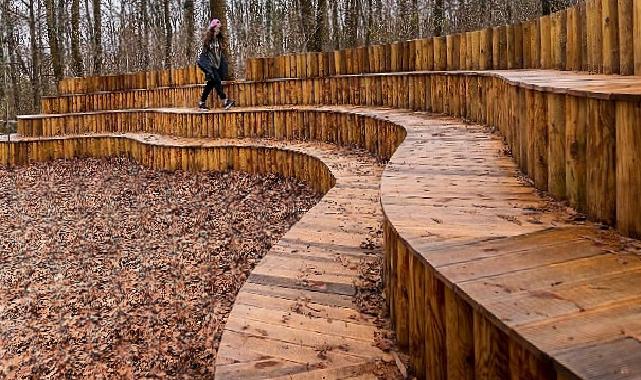 Sonbahar, huzurun adresi Ormanya’da bir öteki