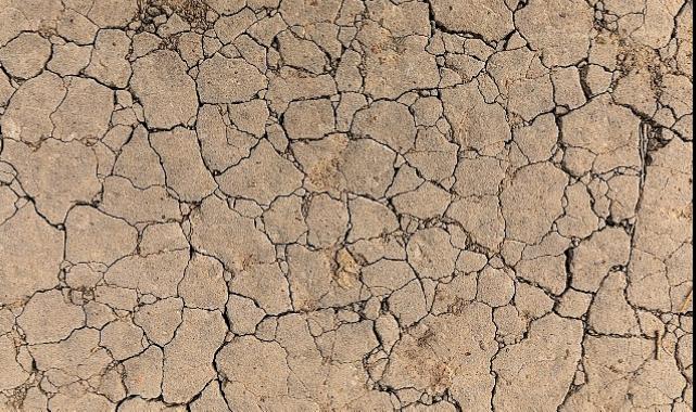 TEMA Vakfı: Toprak Yoksa Su, Su Yoksa Besin Yok!