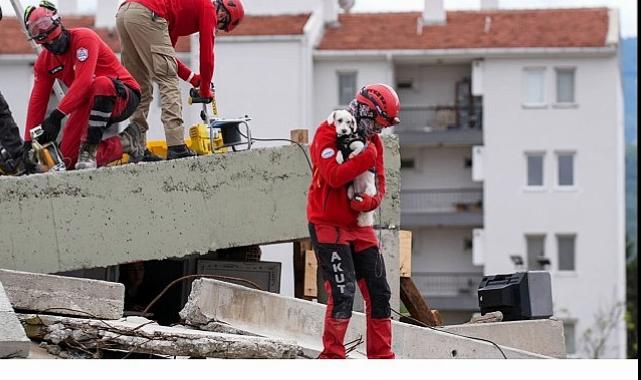 Torbalı’da Hayvan Arama Kurtarma Eğitimi