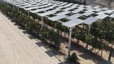 Yüzde 60 eğimli yerde birinci güneş gücü santrali Adana’da