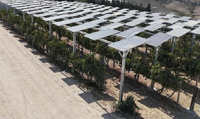 Yüzde 60 eğimli yerde birinci güneş gücü santrali Adana’da